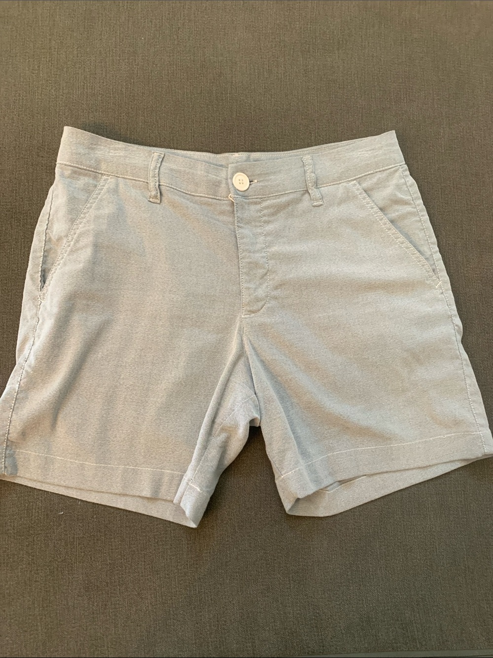 Chubbies Everyday Light Gray Shorts